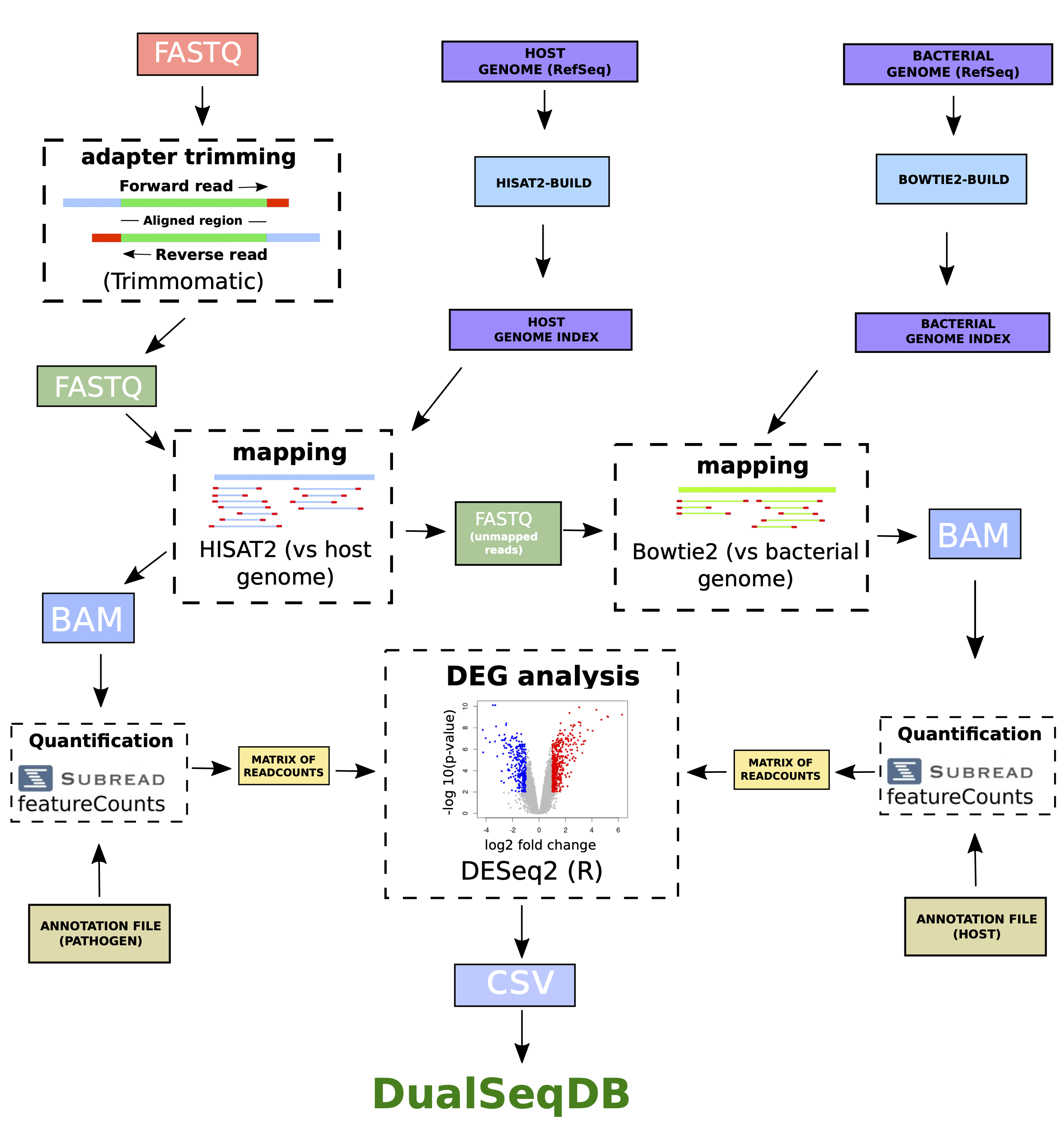 Figure 1. Use of transposon sequencing to measure gene fitness in vivo.